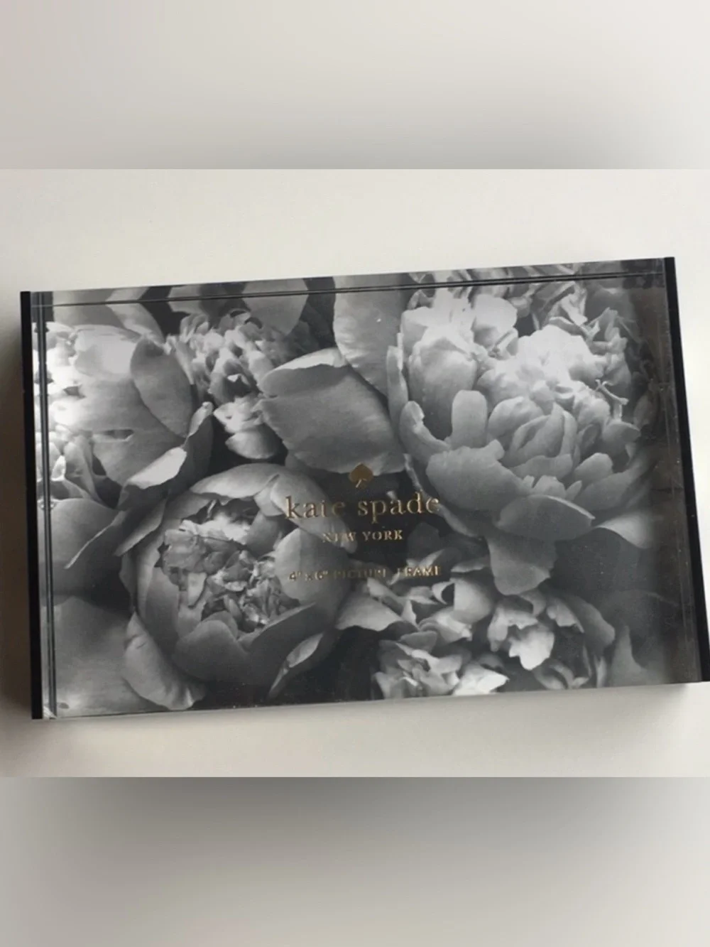 kate spade New York Frame 4x6 Acrylic Picture Frame **NIB**